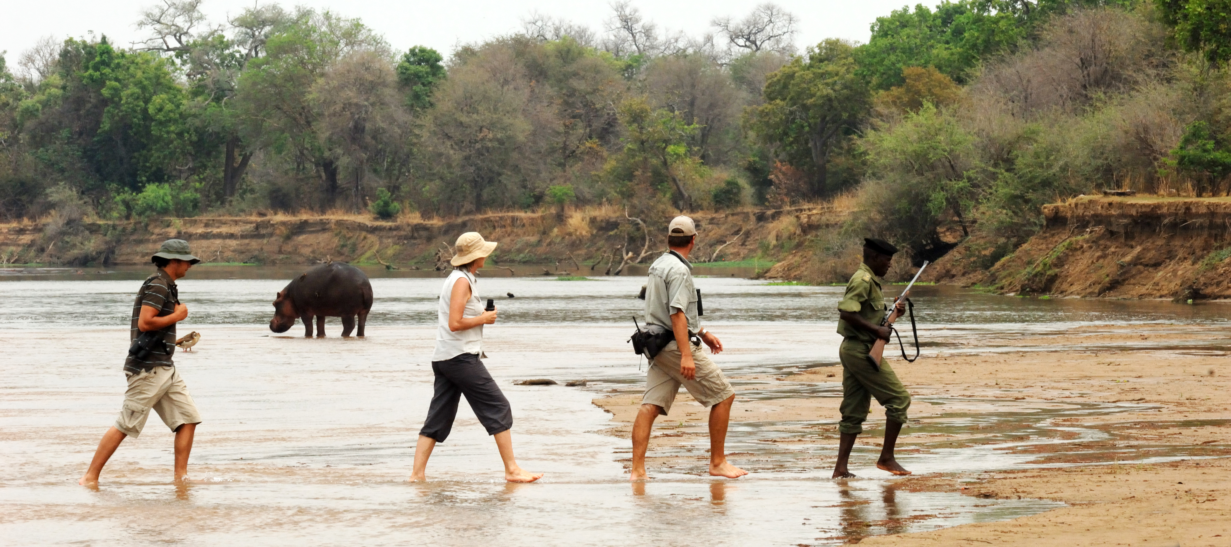 Family and Group Tours